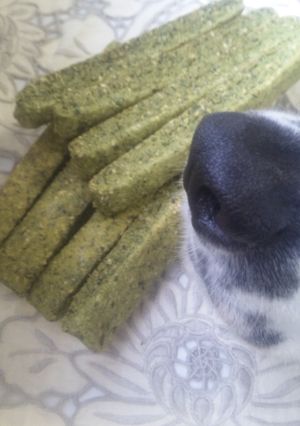 犬用おからと米粉クッキー＊モロヘイヤ＊-レシピのメイン写真
