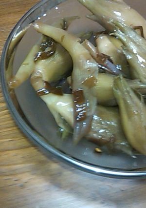 みょうがのつゆ漬-レシピのメイン写真