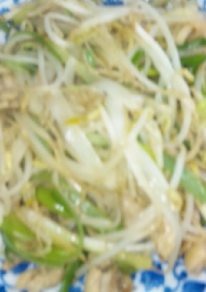 もやし 葱 鶏皮 炒めただけ♪-レシピのメイン写真