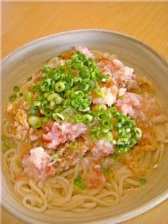 冷うどん☆冷しゃぶ肉と梅おろしつゆで!-レシピのメイン写真