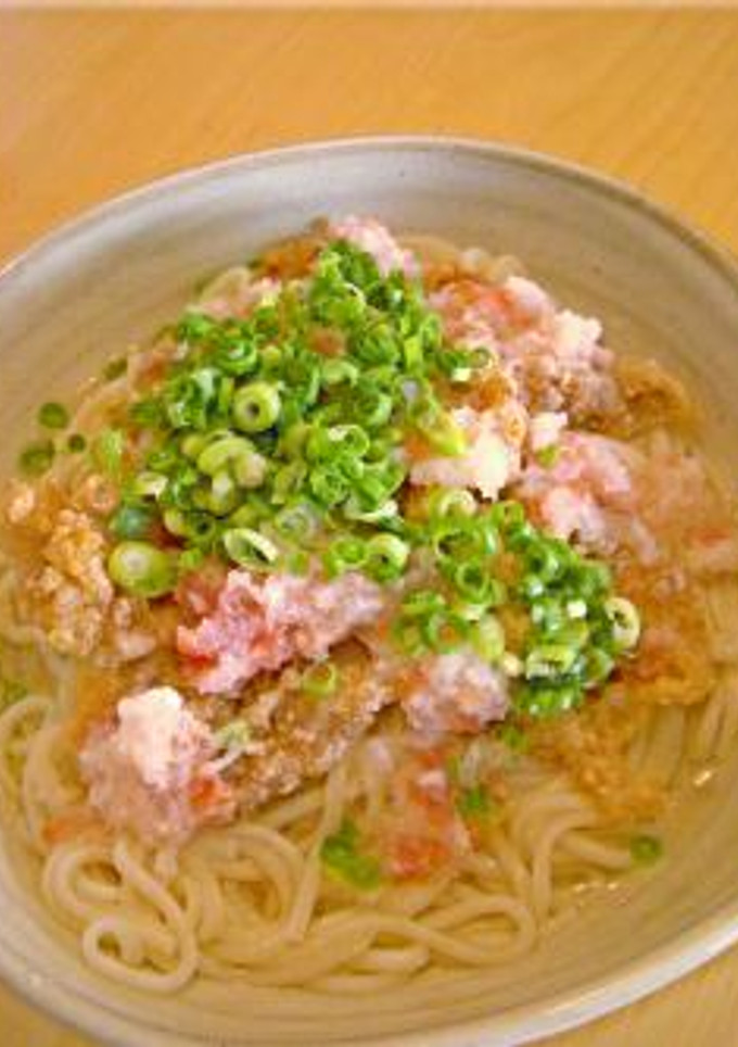冷うどん☆冷しゃぶ肉と梅おろしつゆで！-レシピのメイン写真