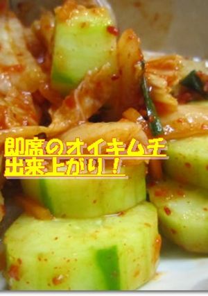超簡単!オイキムチ-レシピのメイン写真