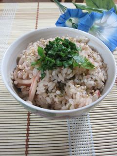 イカの炊き込みご飯-レシピのメイン写真