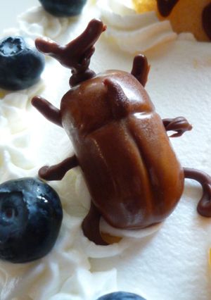 キャラメルかぶと虫～ケーキのデコに～-レシピのメイン写真