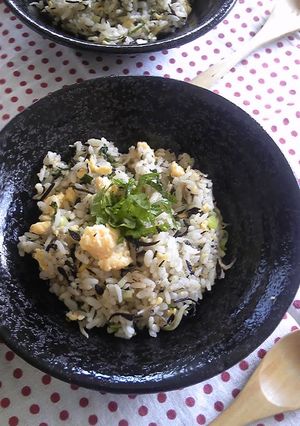 夏の定番★栄養満点簡単ひじきチャーハン-レシピのメイン写真