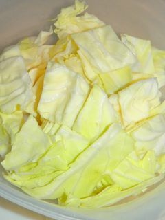 簡単☆塩キャベツ-レシピのメイン写真