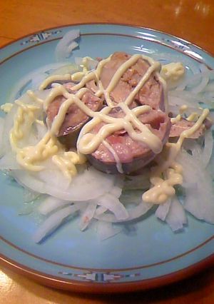 オニオンスライスサバ缶のせ-レシピのメイン写真