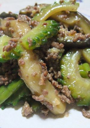 茄子とゴーヤのひき肉炒め-レシピのメイン写真