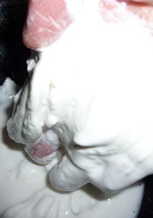 白玉粉に水を入れすぎた時の救済法-レシピのメイン写真