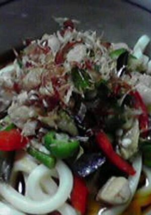 夏野菜と鶏肉のぶっかけうどん-レシピのメイン写真