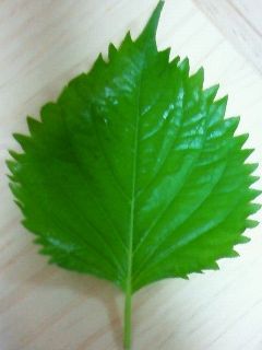 簡単★大葉の千切り術-レシピのメイン写真