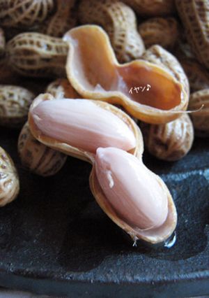 やめられない止まらない【塩茹で落花生】-レシピのメイン写真