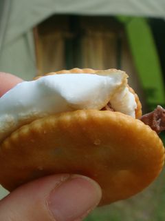 BBQに*マシュマロ s'mores-レシピのメイン写真