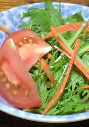 水菜のｱｯｻﾘｻﾗﾀﾞ-レシピのメイン写真