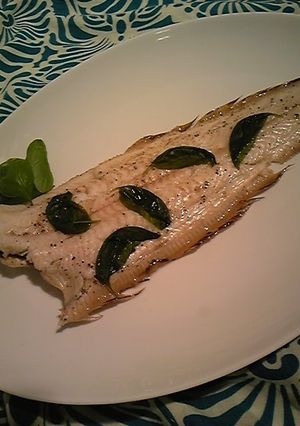 舌平目のワイン蒸し バジル風味-レシピのメイン写真