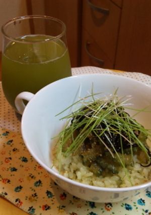 冷製・ゴーヤきんぴらのお茶漬け-レシピのメイン写真