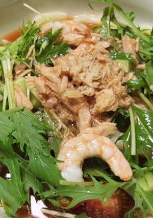 市販のトマトつゆで食べるサラダうどん-レシピのメイン写真