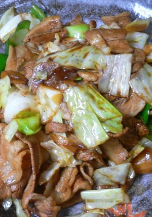 素はもういらないよ♪回鍋肉！-レシピのメイン写真