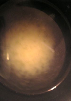 昆布茶とわさびのスープ-レシピのメイン写真