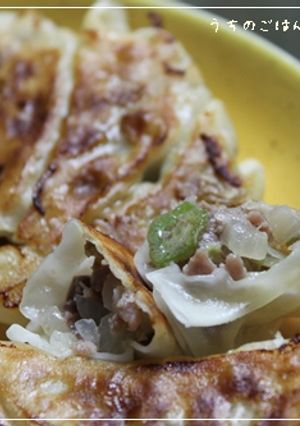 オクラ入り餃子-レシピのメイン写真