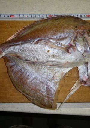 天然真鯛の手作り干物-レシピのメイン写真