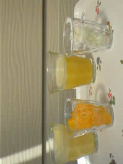 ゴーヤジュース-レシピのメイン写真