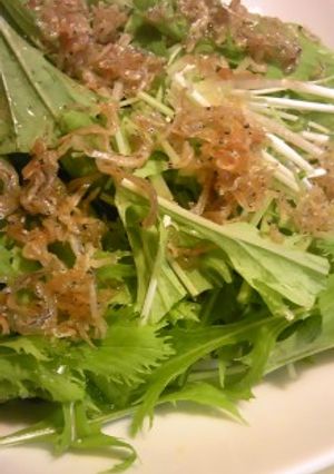水菜とじゃこのパリパリサラダ-レシピのメイン写真