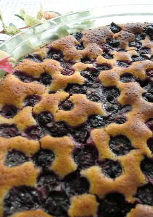 ＊ブルーベリーヨーグルトケーキ＊-レシピのメイン写真