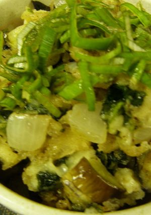 かき揚げ丼　ナス　タマネギ　ほうれん草-レシピのメイン写真