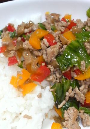 中華風肉そぼろ丼-レシピのメイン写真