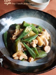 なすとオクラとチキンの煮浸し-レシピのメイン写真
