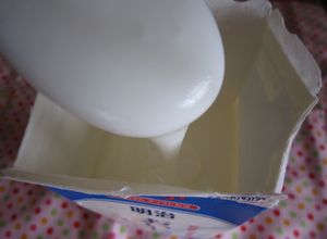 **カスピ海ヨーグルトを増やそうぅ♪**-レシピのメイン写真