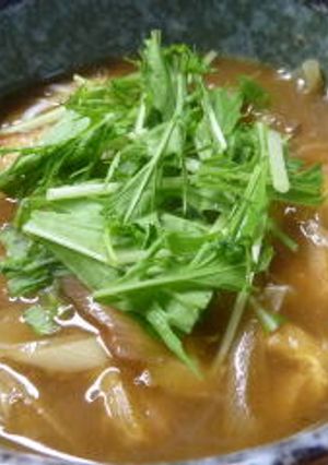残ったカレーで翌日はカレーうどん-レシピのメイン写真
