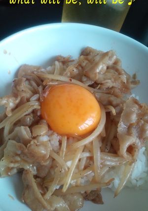 かんたんランチ・豚丼-レシピのメイン写真