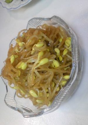 モリモリ食べれる豆もやし-レシピのメイン写真