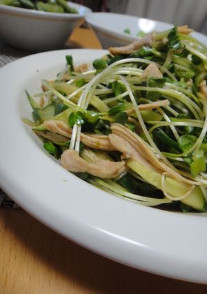 鶏ムネ肉でスタミナサラダ☆-レシピのメイン写真