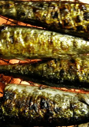 秋刀魚は七輪で焼こう。。。-レシピのメイン写真