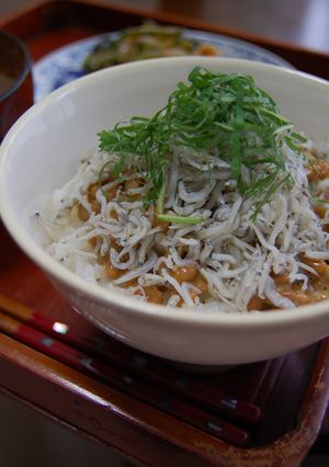 みんなの味方！納豆しらすごはん-レシピのメイン写真