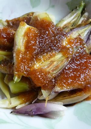 さっぱり！「おろしのたれ」で焼きミョウガ-レシピのメイン写真