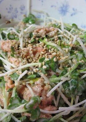鮭フレークを使ったカイワレ大根サラダ-レシピのメイン写真