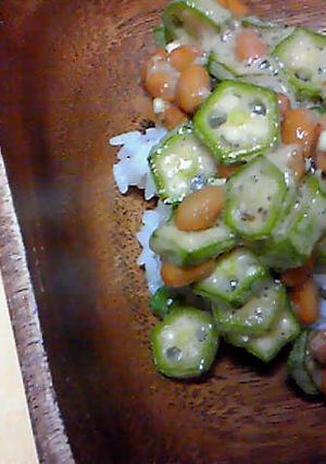 簡単☆ｵｸﾗ納豆丼-レシピのメイン写真