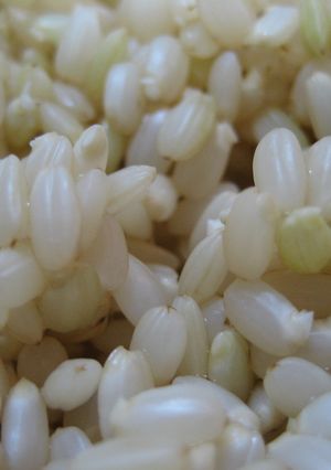 簡単☆発芽玄米の作り方!-レシピのメイン写真