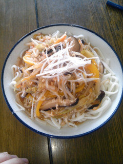 野菜たっぷりあんかけうどん-レシピのメイン写真
