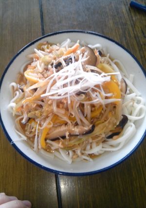 野菜たっぷりあんかけうどん-レシピのメイン写真