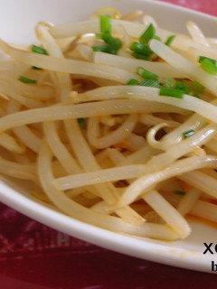 台湾家庭料理★もやしの XO醤合え ★ -レシピのメイン写真