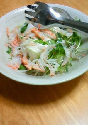 もやしとお豆腐のサラダ-レシピのメイン写真