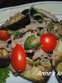 ゴーヤと茄子・豚肉のナンプラー炒め-レシピのメイン写真