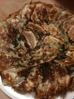 絶対に失敗しない餃子の焼き方♫-レシピのメイン写真