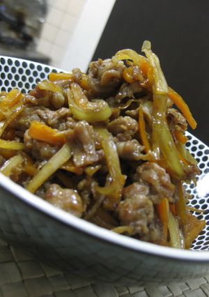 生姜焼ききんぴら-レシピのメイン写真