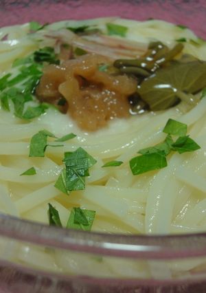 山芋ぶっかけうどん♪じゅんさいと梅で♪-レシピのメイン写真
